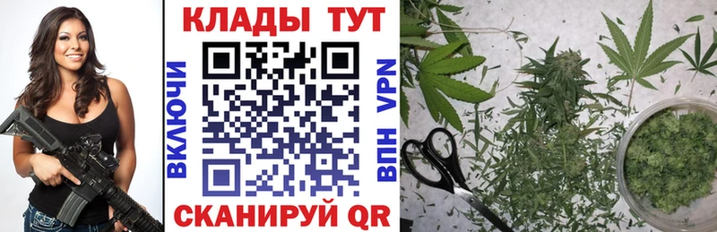 Все наркотики Кирово-Чепецк МАРИХУАНА  Псилоцибиновые грибы  Альфа ПВП  АМФЕТАМИН  КОКАИН  Гашиш  МЕФ 
