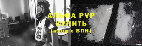 спиды Нефтекумск