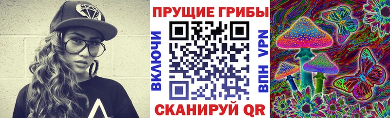 где купить наркотик  Кирово-Чепецк  Галлюциногенные грибы ЛСД 
