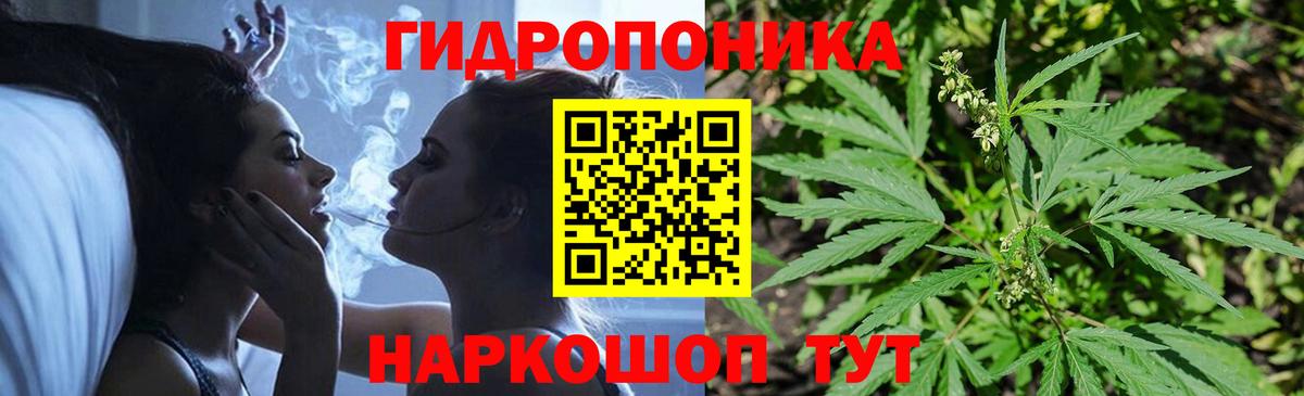 Конопля Bruce Banner  Вход с VPN  Марихуана конопля  Конопля семена  Кирово-Чепецк 